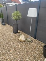 WPC Sichtschutzzaun Royal Plus Alu Ober-/Unterschiene | Anthrazitgrau 181x187 cm